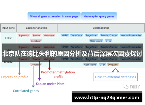 北京队在德比失利的原因分析及背后深层次因素探讨 北京队在德比失利的原因分析及背后深层次因素探讨